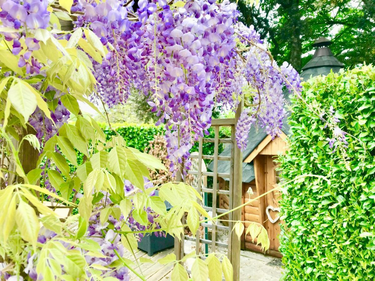 Le Relais Des Anges Bed & Breakfast Mercues Exterior photo
