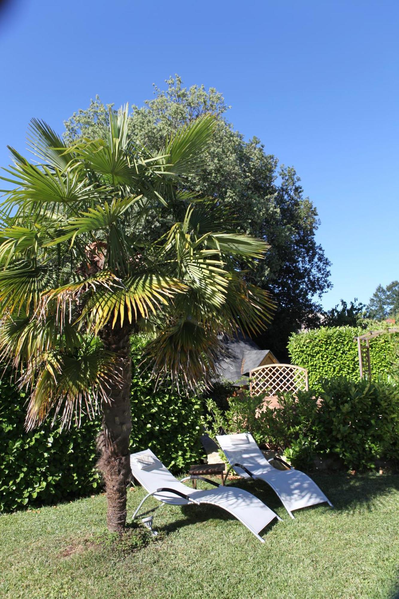 Le Relais Des Anges Bed & Breakfast Mercues Exterior photo